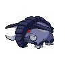 Shadow Donphan